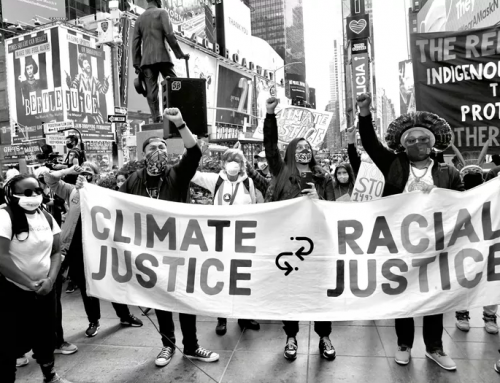 The Climate Movement and its Connection to Inclusion